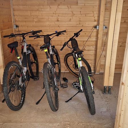 Ski-Bike-Apartment Bayerwald Lohberg Ngoại thất bức ảnh